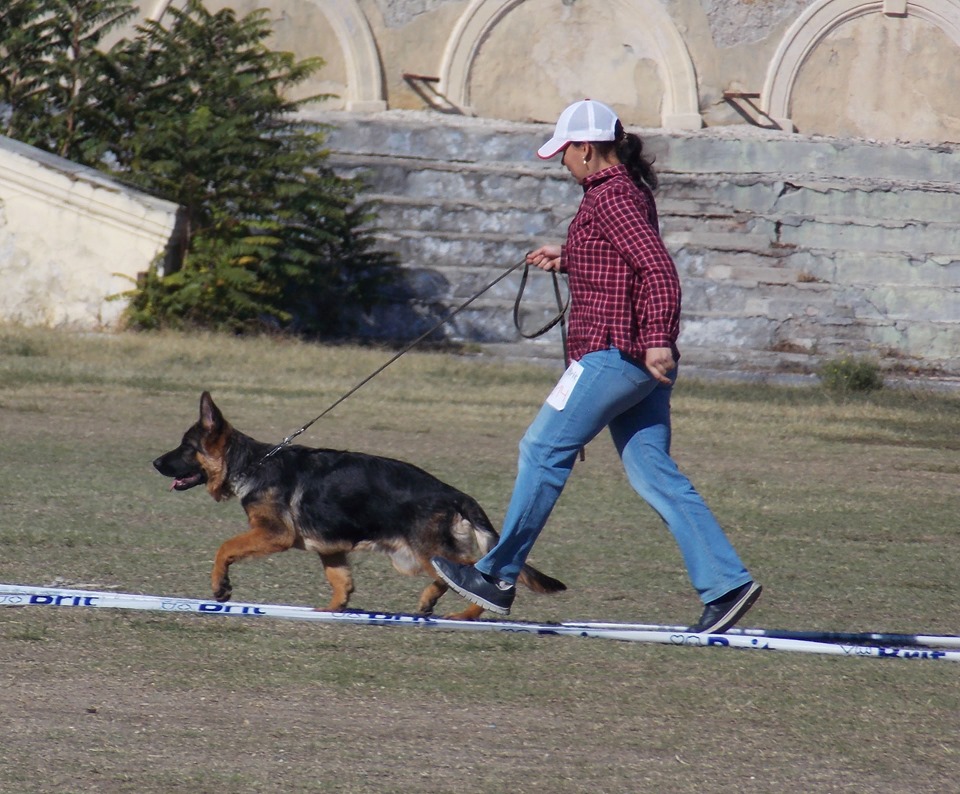 12.10.19г. Севастополь 1БП, ЛБ 1.jpg